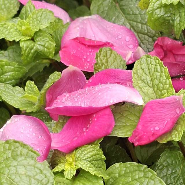 Some. Weather forecasts with beautiful photos by Wen-ya Huang Photos in Kaohsiung City