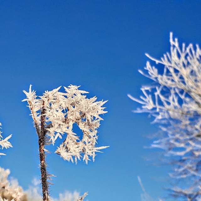 Animal. Weather forecasts with beautiful photos by Wiesiek Photos in Gdansk