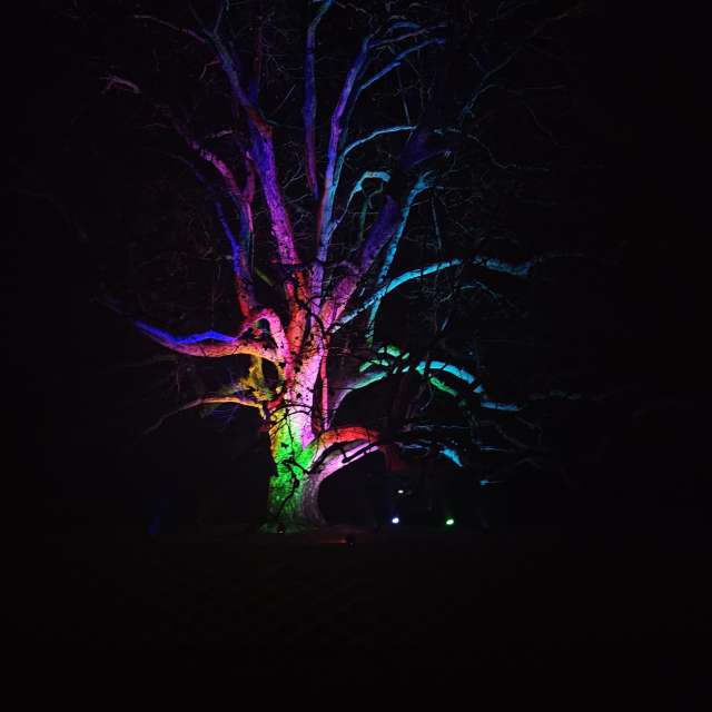 Weather forecasts with beautiful photos by PeterR