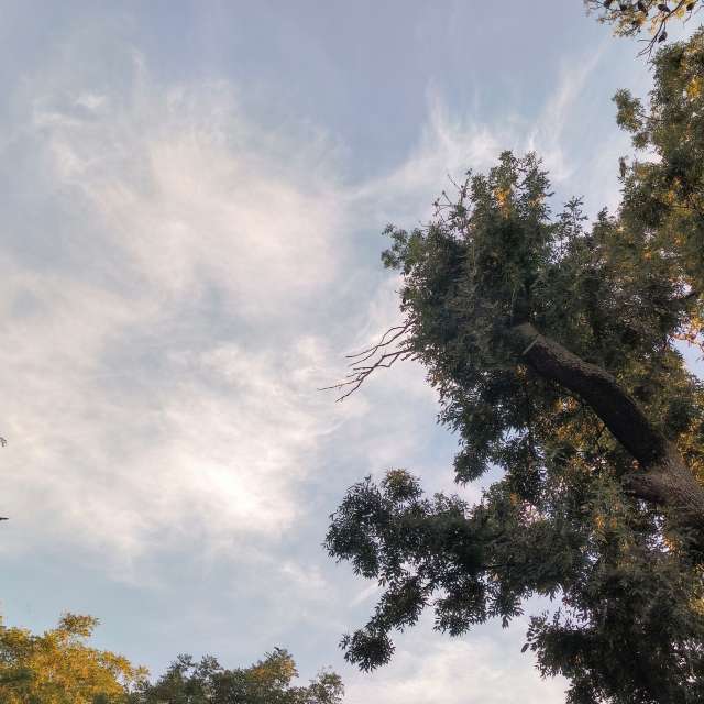 Fotos del Motocicleta. Pronósticos del tiempo con hermosas fotos de YanBog en București