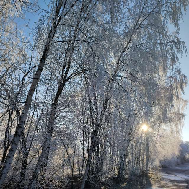 Fotos Clima. Previsões do tempo com lindas fotos de drollted em Česká Třebová