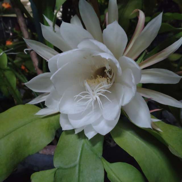 Room. Weather forecasts with beautiful photos by Wen-ya Huang Photos in Kaohsiung City