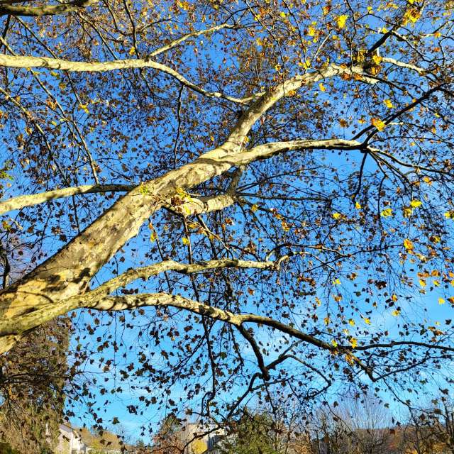 Pronósticos del tiempo con hermosas fotos de aida-khaldi