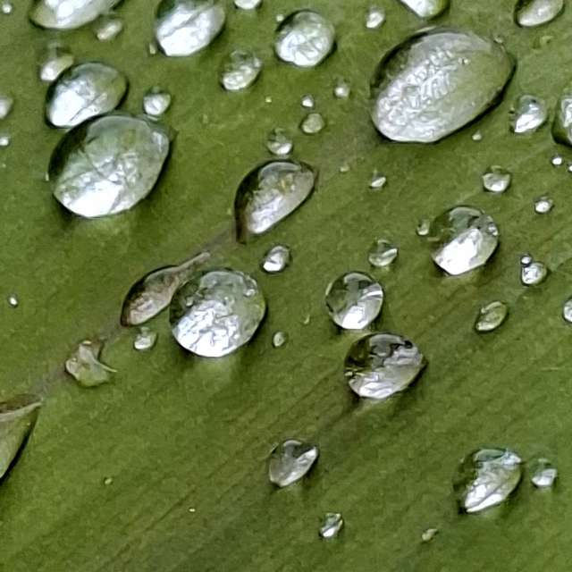 Rain. Weather forecasts with beautiful photos by Wen-ya Huang Photos in Kaohsiung City