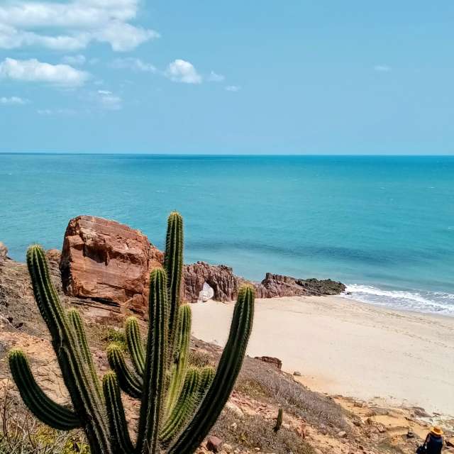 天气预报，带Flavia51精美的照片