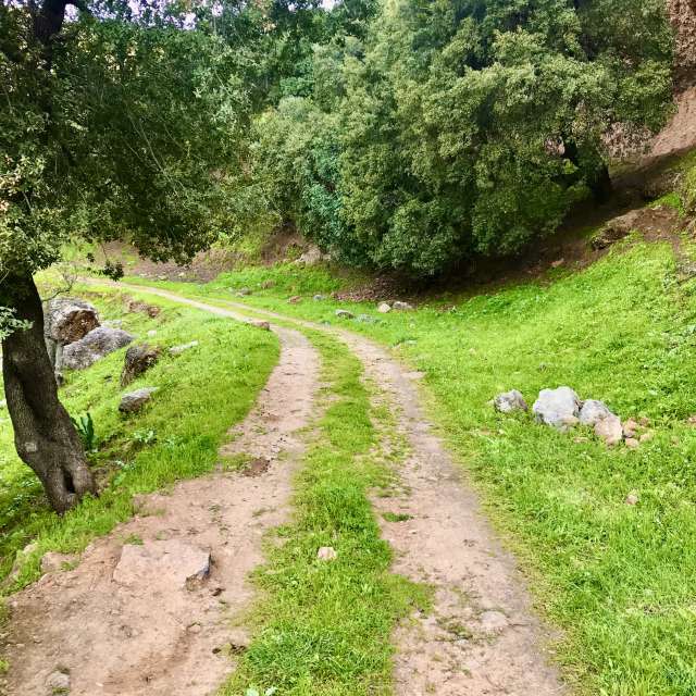 Qassem-Mohaidatの美しい写真による天気予報