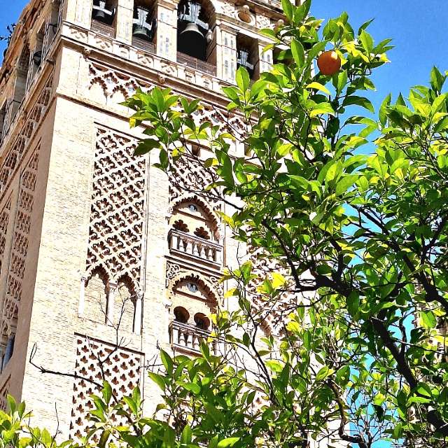 Dự báo thời tiết với những bức ảnh đẹp của Geo23