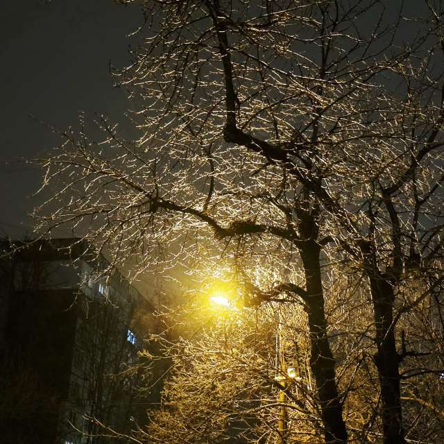 Prévisions météo avec de superbes photos de Mircea