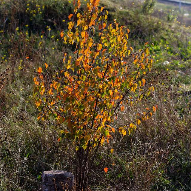 Wettervorhersagen mit schönen Fotos von Mihail_N24