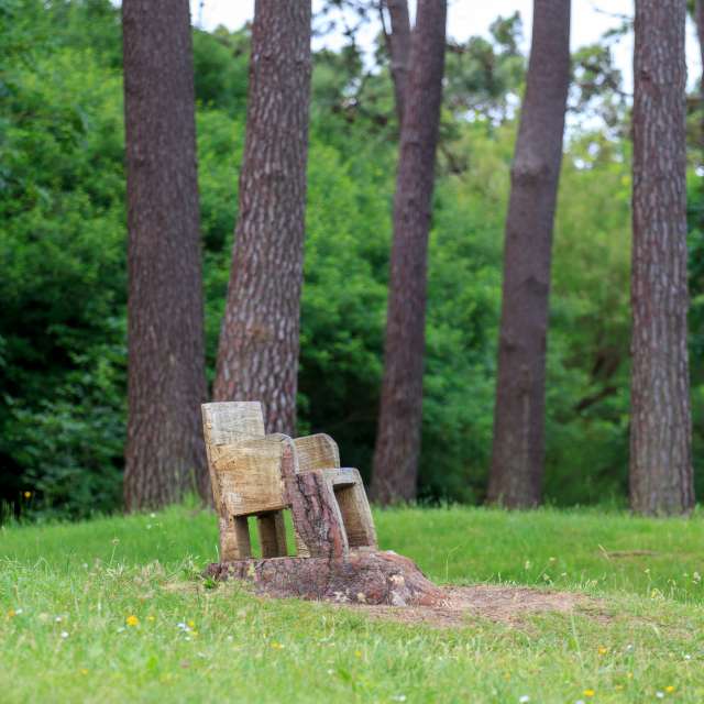 Park. Weather forecasts with beautiful photos by Jocama1227 Photos in Santander