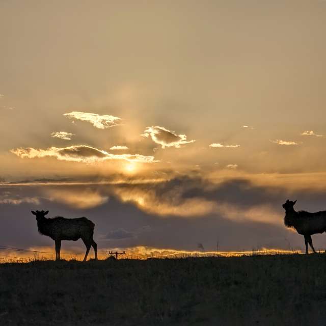 Couple. Weather forecasts with beautiful photos by BonnieC85 Photos in World