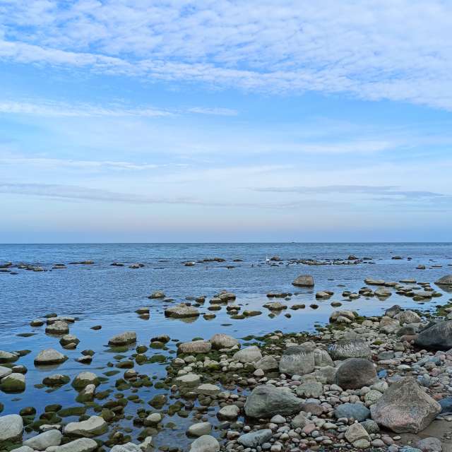 Fotos Corpo. Previsões do tempo com lindas fotos de Михаил Бондаренко em Pionerskiy