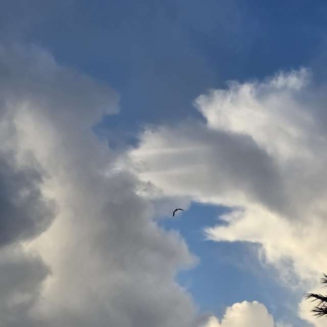 Brtdの美しい写真による天気予報