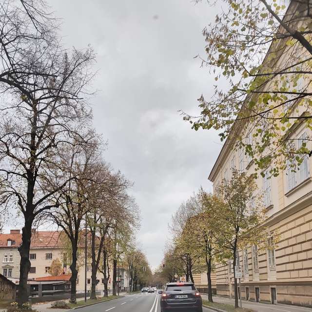 Anamarijaの美しい写真による天気予報