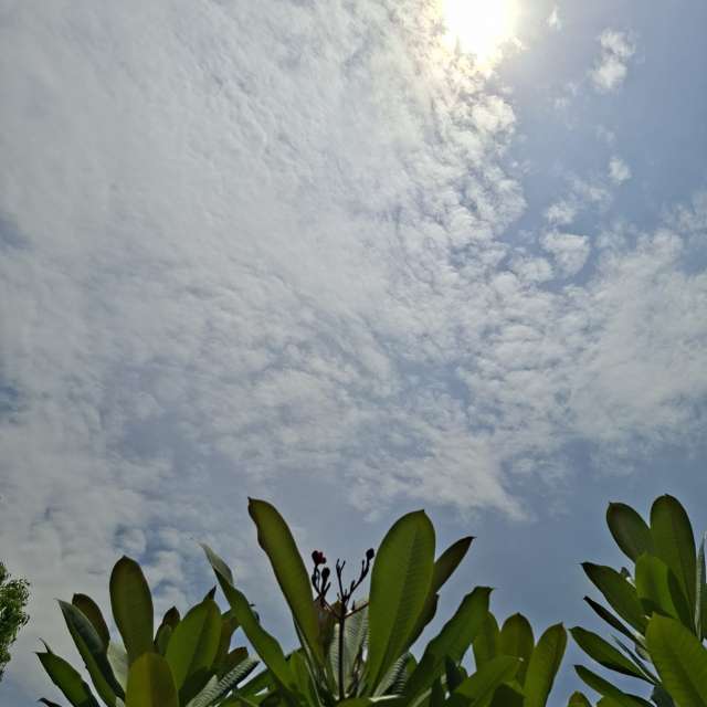 Room. Weather forecasts with beautiful photos by Wen-ya Huang Photos in Kaohsiung City