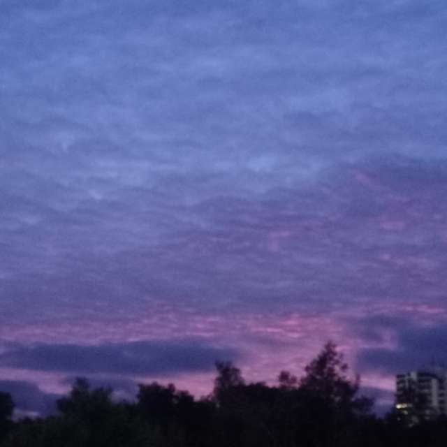 Prévisions météo avec de superbes photos de Joaquim Fonseca