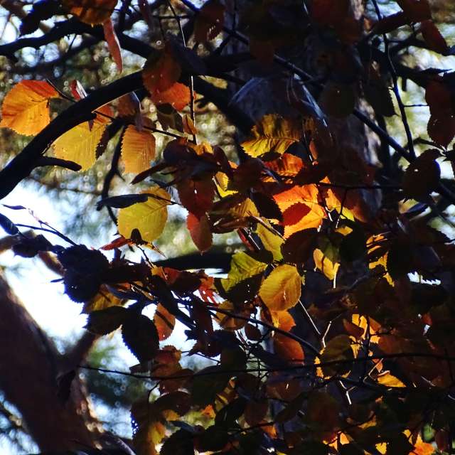 Group. Weather forecasts with beautiful photos by Михаил Гавриков Photos in Kharkiv