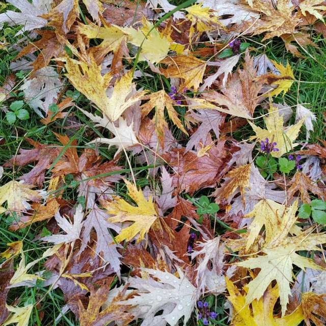 Wettervorhersagen mit schönen Fotos von Albert_Smelovtsev
