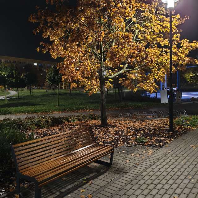 duck102の美しい写真による天気予報