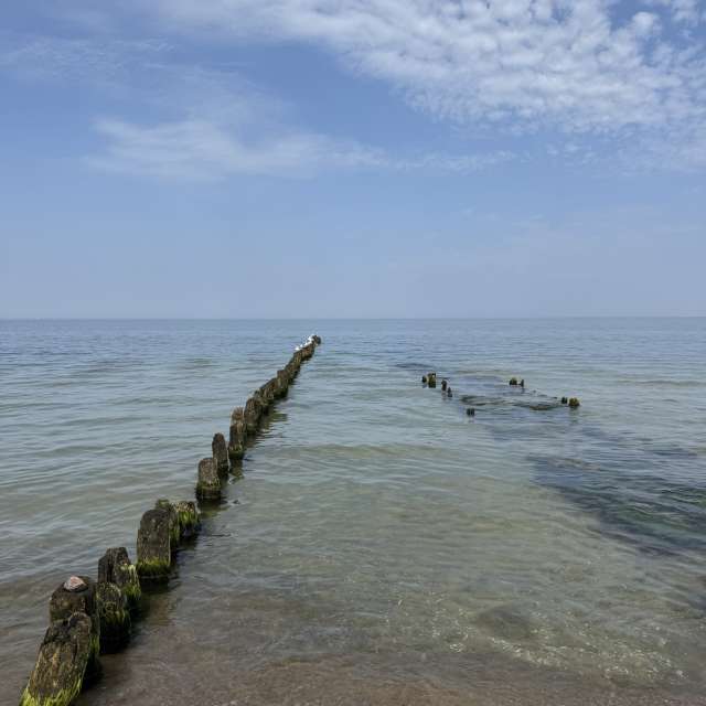 天气预报，带man-of-the-sea-and-land精美的照片