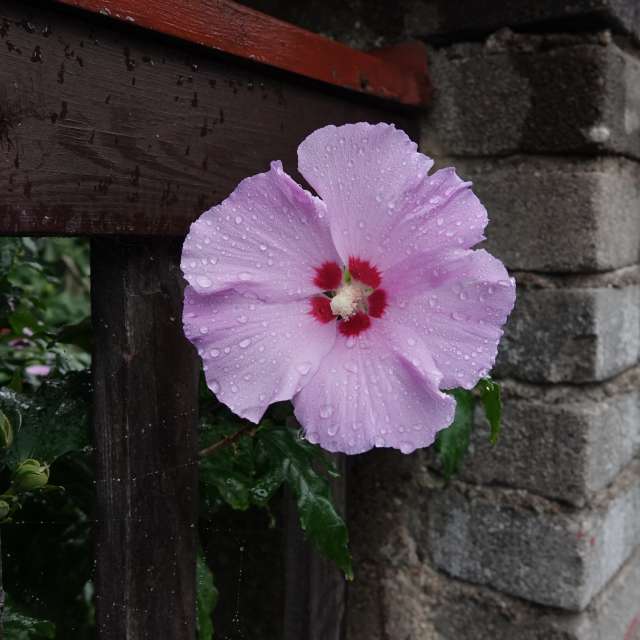 Fotos Rua. Previsões do tempo com lindas fotos de Vasek325 em Praha 4