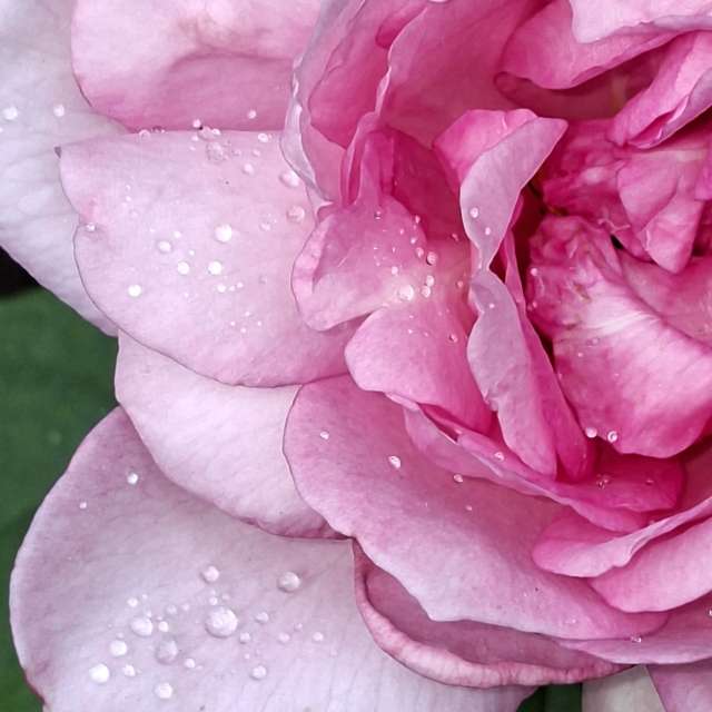 Rain. Weather forecasts with beautiful photos by Wen-ya Huang Photos in Kaohsiung City