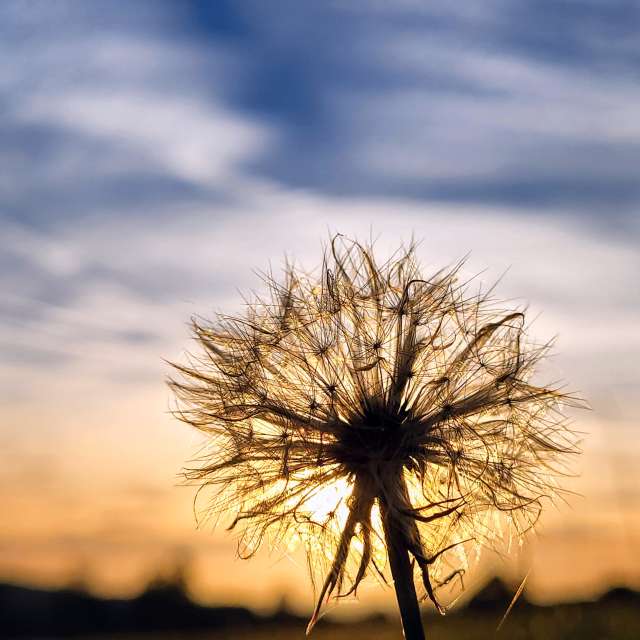 Weather forecasts with beautiful photos by hejpetrpepa