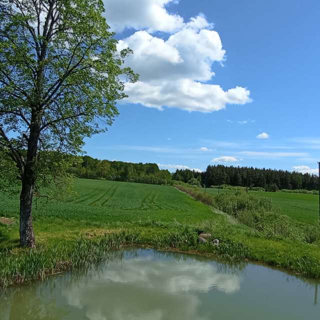 Landscape. Wettervorhersagen mit schönen Fotos von Valiukas Fotos Litauen