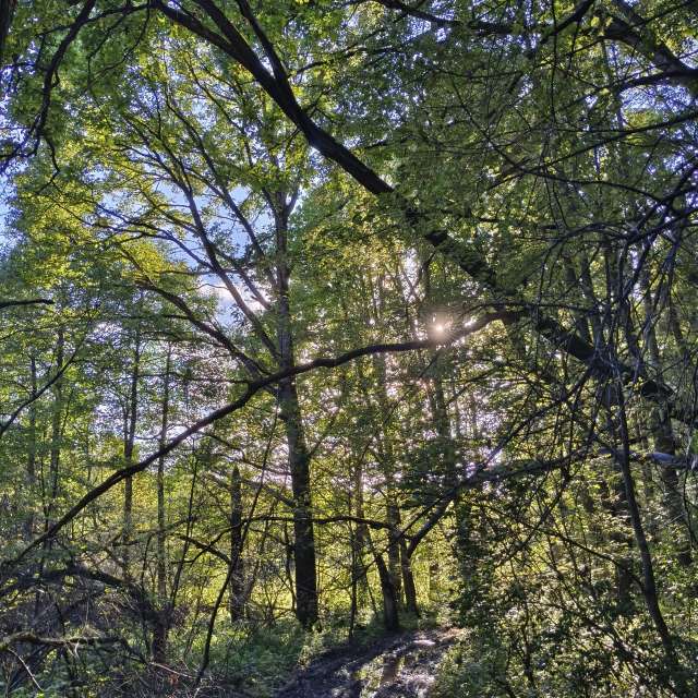 Group. Weather forecasts with beautiful photos by Aleksei Photos in Tula