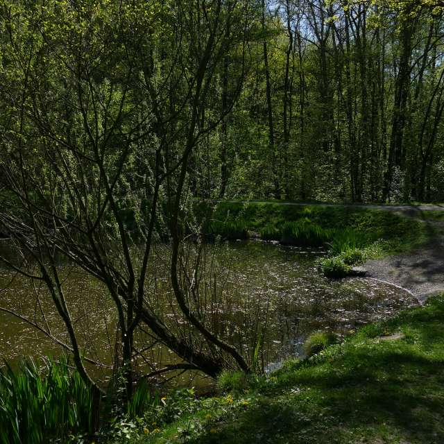Fotos Lago. Previsões do tempo com lindas fotos de Vasek325 em Praha 4