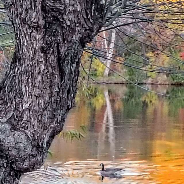 天气预报，带Ghostroku精美的照片