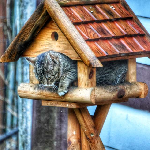 Bank. Weather forecasts with beautiful photos by Lotti5507 Photos in Stockum