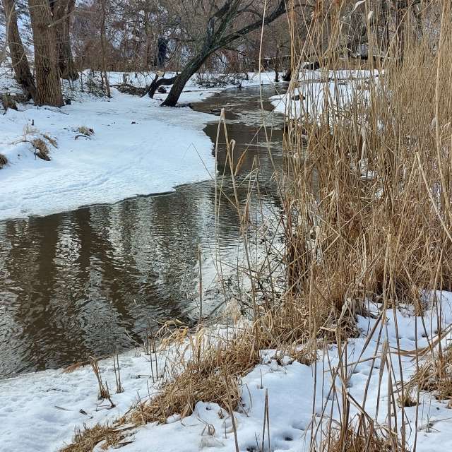 Direction. Weather forecasts with beautiful photos by Iryna Photos in Kharkiv