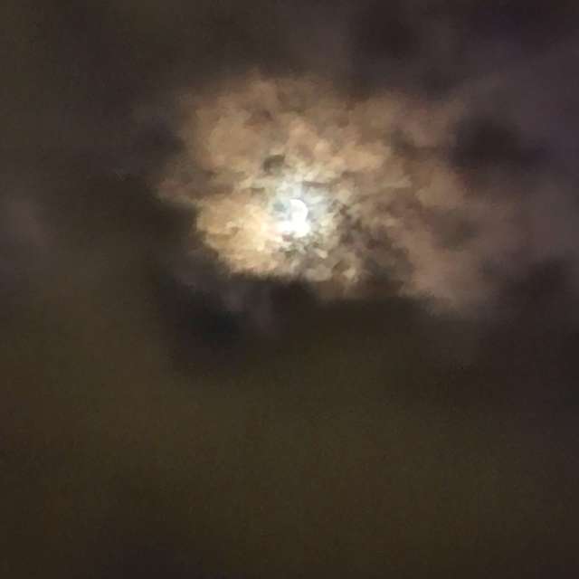 Star. Weather forecasts with beautiful photos by Wen-ya Huang Photos in Kaohsiung City