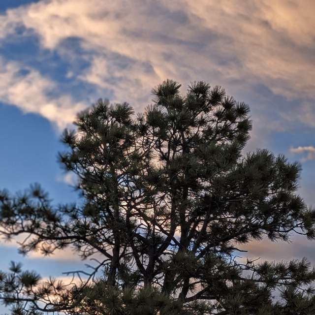 ภาพถ่าย เล่นสกี. พยากรณ์อากาศพร้อมภาพถ่ายสวยๆ โดย BonnieC85 ใน Colorado