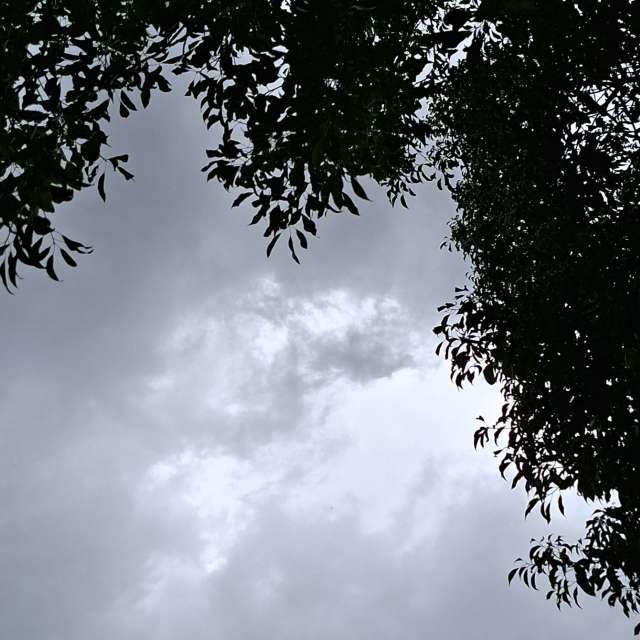 Photos Facile. Prévisions météo avec de superbes photos de Wen-ya Huang de Kaohsiung