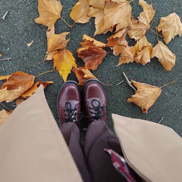 天气预报，带Lea71精美的照片