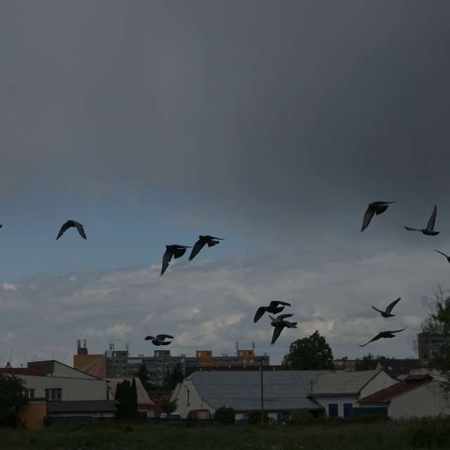 Fotos Muitos. Previsões do tempo com lindas fotos de Vasek325 em Praha 4