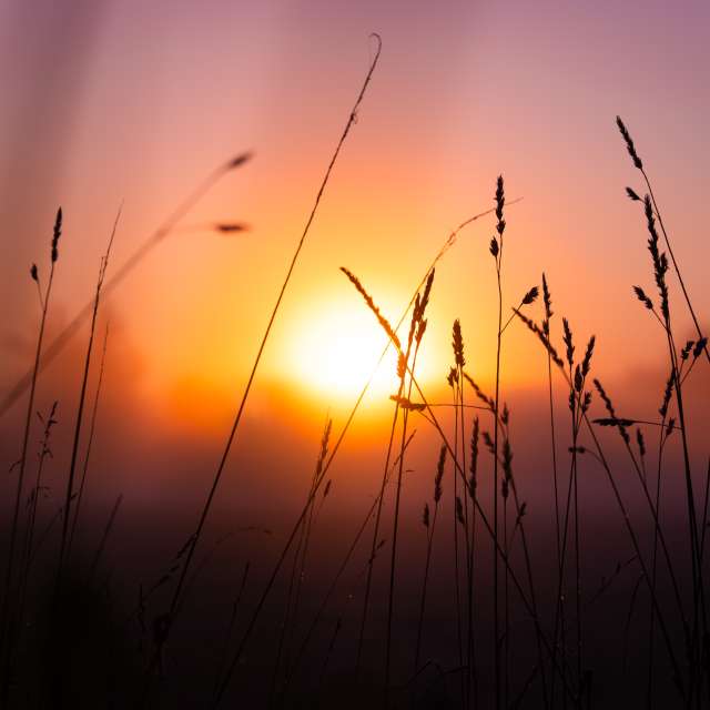 Previsões do tempo com lindas fotos de Li-Bro