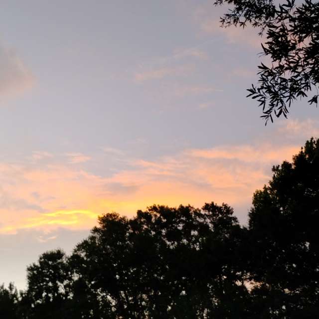 Front. Weather forecasts with beautiful photos by Awcat Photos in Riverwalk Parkway
