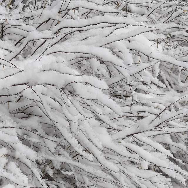 Previsões do tempo com lindas fotos de -_-devil666-_-