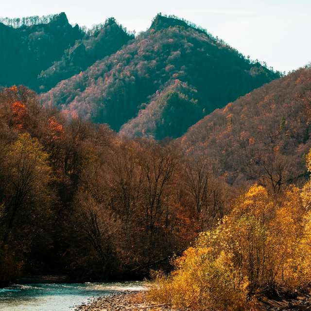 俄罗斯的天气照片. 天气预报，带Mr_Doberman精美的照片