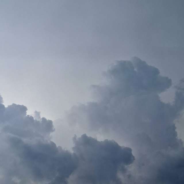 Fotos Floresta. Previsões do tempo com lindas fotos de Wen-ya Huang em Kaohsiung City