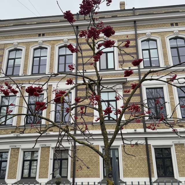 Weather forecasts with beautiful photos by Svet-Lana