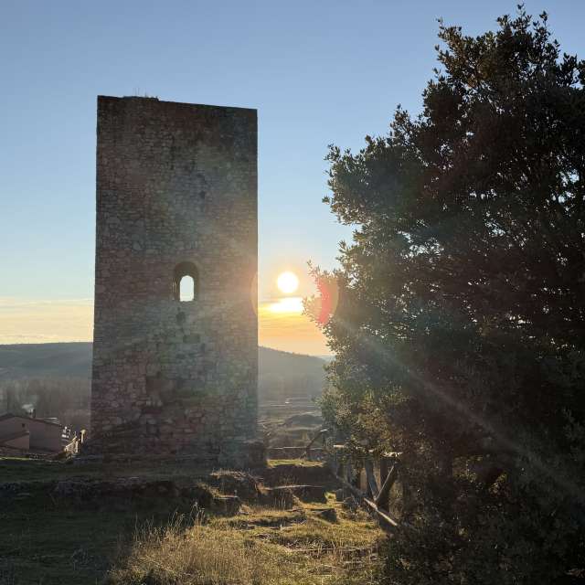 天气预报，带Knopfler83精美的照片