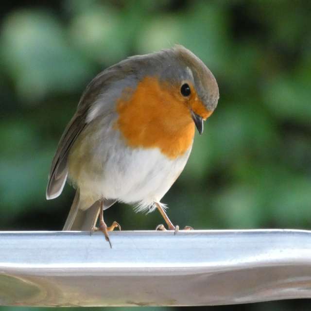 Прогнозы погоды с чудесными фотографиями, сделанными fwerner