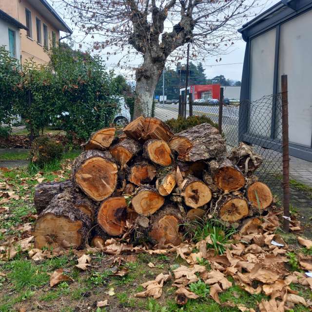 Rocky. Weather forecasts with beautiful photos by Acrobat76 Photos in World