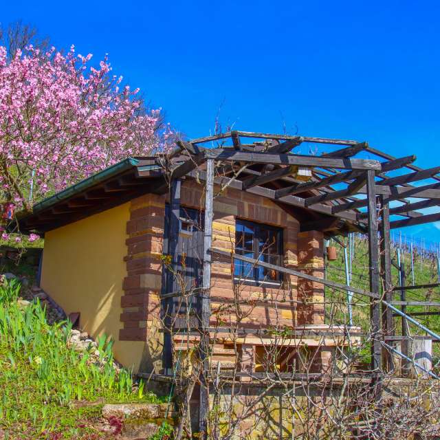 Previsões do tempo com lindas fotos de Juergen