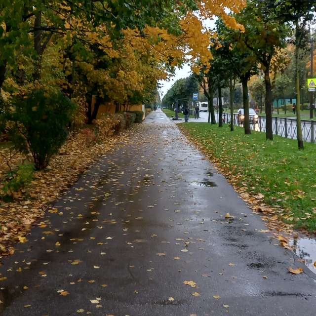 Pronósticos del tiempo con hermosas fotos de Prohojiy