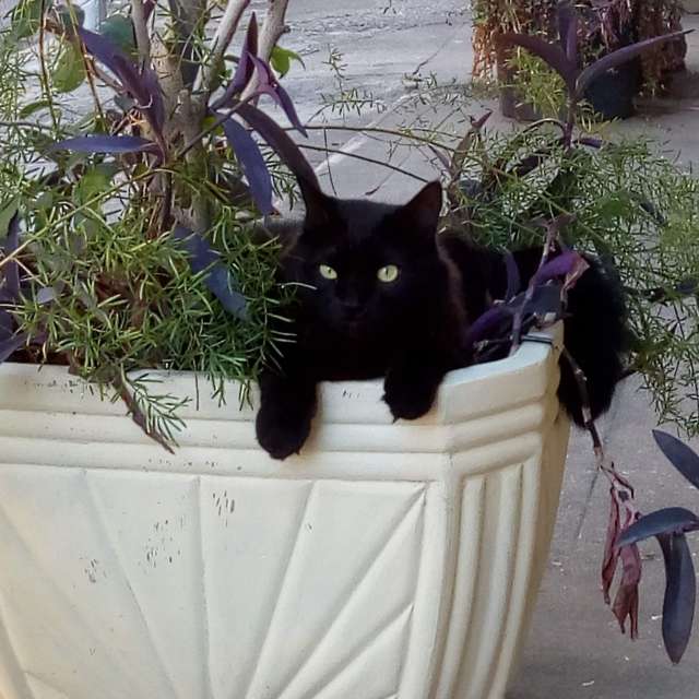 Pronósticos del tiempo con hermosas fotos de Bruy